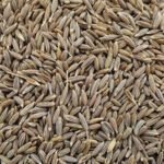 Cumin_Seeds_New