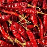 Guntur_Chilli