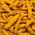Salem_Turmeric