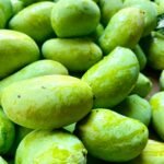 pexels-mauritiusdsilva-12507086