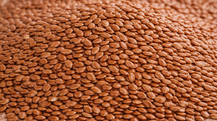 Flax_Seeds