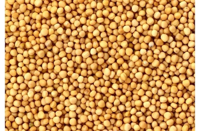 Mustard seeds