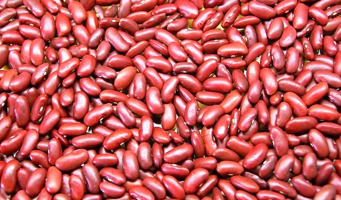 Red-kidney-beans-2