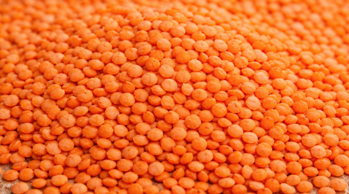 Red_Lentils