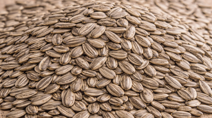 Sunflower seeds